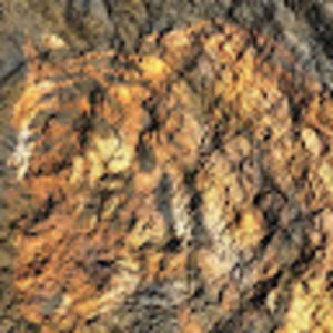 Meet your Posher, Derek